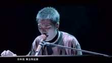 狮子合唱团 - 你和我