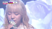 金世正 - 花路 MBC Show Champion 现场版 16/11/30