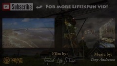 音乐短片 - 荷兰的风车