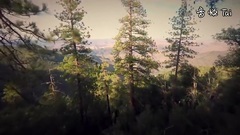 音乐短片 - 罗宾汉 跑酷