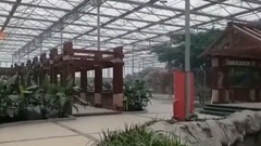 音乐短片 - 千朝观园纪实游记第二部