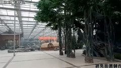 音乐短片 - 创意园林艺术境界