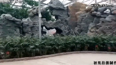 音乐短片 - 古典园林艺术欣赏