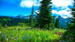 音乐短片 - Leo Rojas