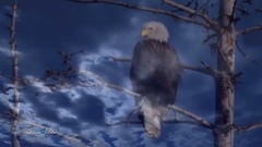 音乐短片 - Watch Over My Dreams