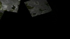 音乐短片 - Бяла нежност