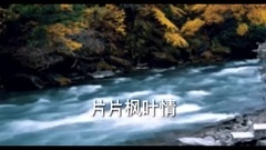音乐短片 - 片片枫叶情