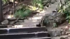 音乐短片 - 最著名奇景安徽黄山