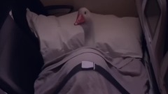 音乐短片 - BetterWayToFly Campaign