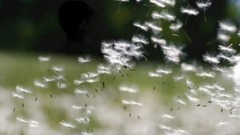 音乐短片 - 等你等了那么久