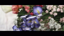 Cage The Elephant - Around My Head
