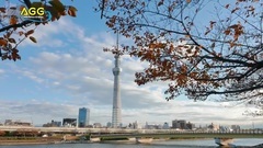音乐短片 - 東京の紅葉