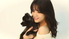 AOA - AOA宠物画报拍摄花絮