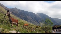 音乐短片 - Glencoe
