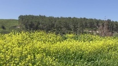 音乐短片 - Under The Sun