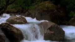 音乐短片 - Timeless