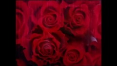 Elton John,RuPaul - Don't Go Breaking My Heart (with RuPaul)
