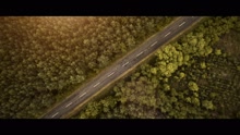 Blumen aus Eis (Lyric Video)