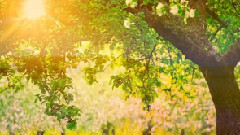 音乐短片 - Bilitis