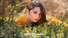 音乐短片 - Echoes Of Love(爱的回声)