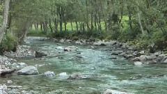 音乐短片 - The Two Shepherds(两个牧羊人)