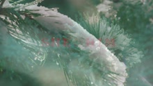 She & Him - Winter Wonderland (Video)