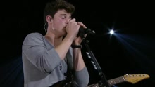 Shawn Mendes - Shawn Mendes - Ruin
