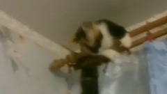 音乐短片 - Паркур