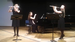 Trio G-major op. 119 I