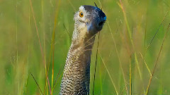 音乐短片 - 陪伴左右