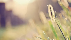 音乐短片 - 传奇