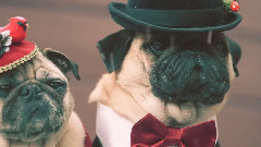 She & Him - Winter Wonderland