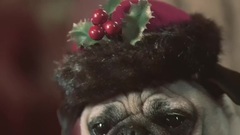 She & Him - Winter Wonderland