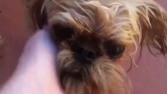 音乐短片 - Unusual Way To Clean Your Mouth