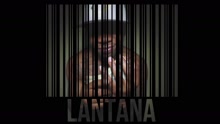 Easy Lantana - All Hustle, No Luck