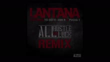 Easy Lantana - All