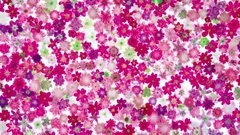 音乐短片 - 绚丽