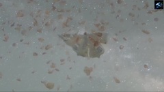 音乐短片 - Take Me To The Stars