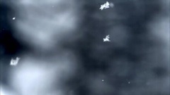 音乐短片 - 雪野