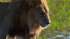 音乐短片 - 脉动 不屈