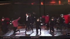 PENTAGON - Gorilla