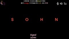 Signal