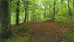 音乐短片 - Spring Morning