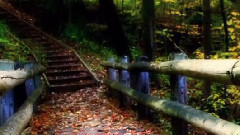 音乐短片 - Reve Magique