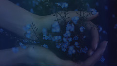 音乐短片 - Infinie Tendresse