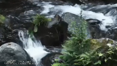 音乐短片 - Les Reflets du Silence