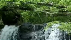 音乐短片 - Spiritual Journey