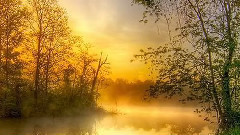 音乐短片 - A Morning at the Spring