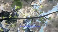 音乐短片 - Ciel Radieux