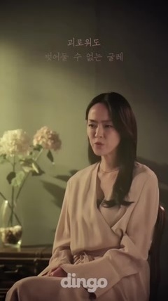 韩国群星 - 梦